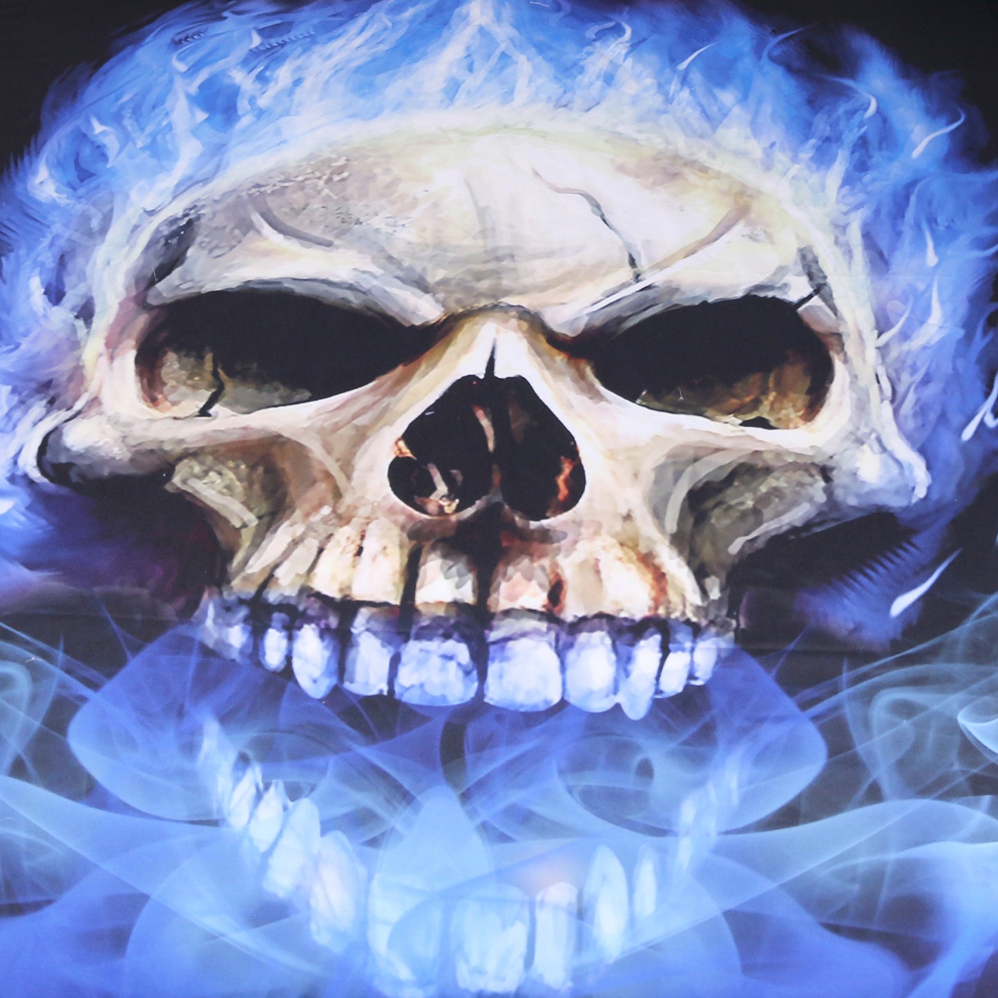 Blue Flame Skull 3 Piece Bedding Set Gothic Printed Duvet Cover Bed Sheet Set Home Decor