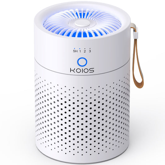 H13 True HEPA Air Purifier for Home Bedroom Quiet Portable Air Cleaner for Office and Living Room