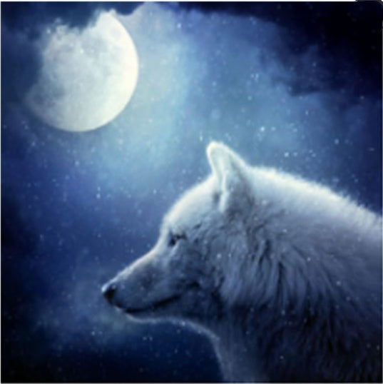 Diamond Painting Animals and Plants Cross Stitch Picture DIY Wall Art Kit for Home Decoration