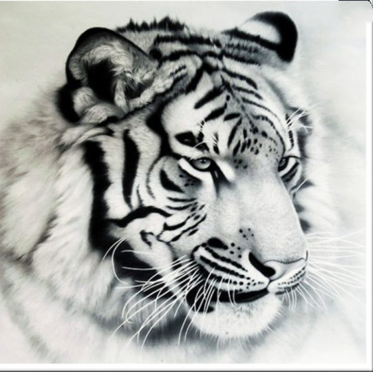 Diamond Painting Animals and Plants Cross Stitch Picture DIY Wall Art Kit for Home Decoration