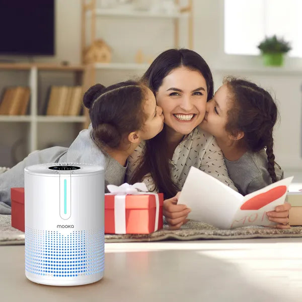 Air Purifier for Bedroom Home up to 430 Sq Ft H13 HEPA Small Portable USB Air Cleaner for Smoke Dust Pollen Pets Odor Removal
