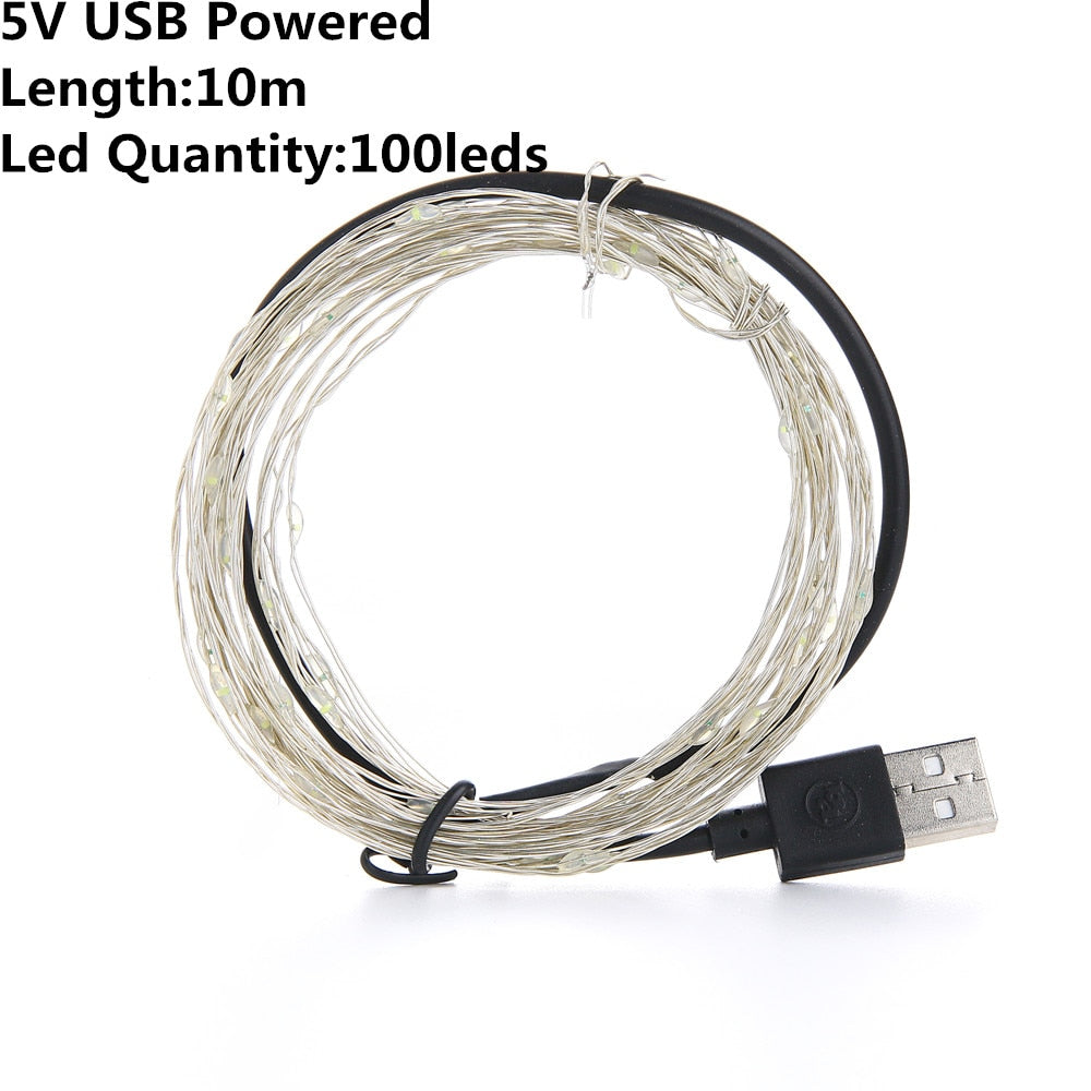 LED Christmas String Lights Battery USB Powered Copper Wire Fairy Lights 2m 5m 10m for Outdoor Wedding Party Decoration