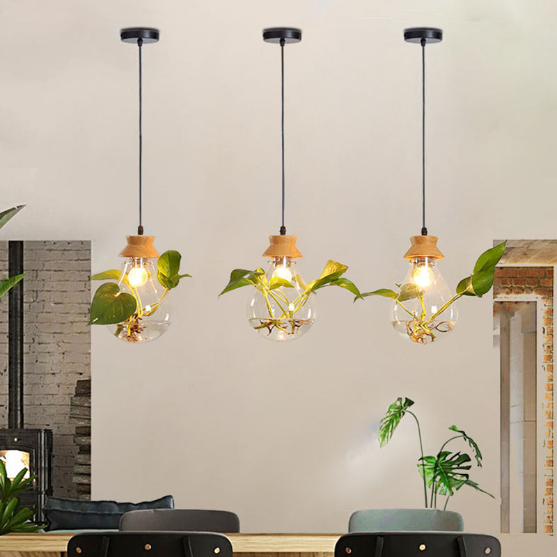 Glass Water Plant Aquarium Chandelier – Bar & Dining Room Lighting