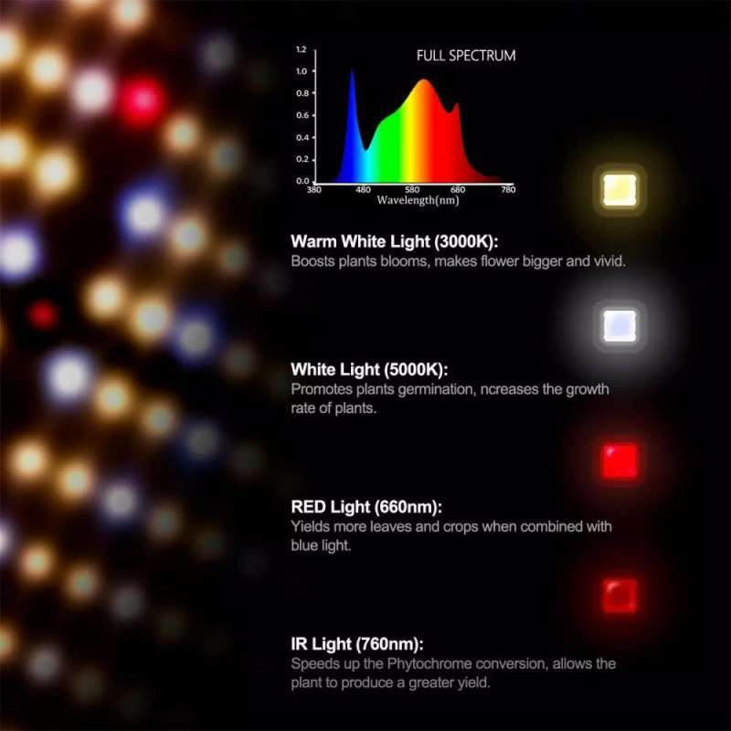 ETL Certified Mingwei Power Supply LM301B Quantum Edition LED Grow Lamp High Efficiency Plant Light