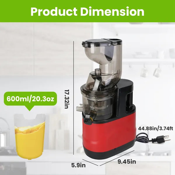 300W Cold Press Juicer Machine Electric Slow Masticating Juicer for Fruits and Vegetables with Reverse Function and Easy Clean Design