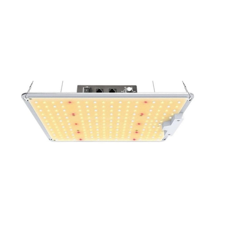 ETL Certified Mingwei Power Supply LM301B Quantum Edition LED Grow Lamp High Efficiency Plant Light