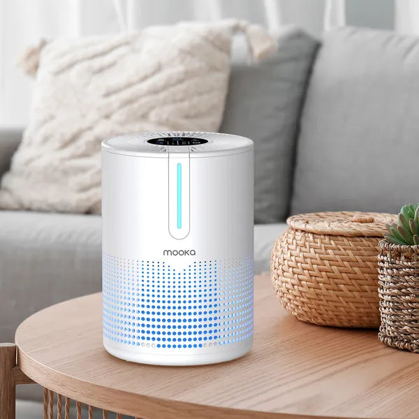 Air Purifier for Bedroom Home up to 430 Sq Ft H13 HEPA Small Portable USB Air Cleaner for Smoke Dust Pollen Pets Odor Removal
