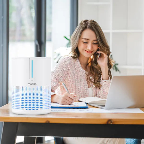Air Purifier for Bedroom Home up to 430 Sq Ft H13 HEPA Small Portable USB Air Cleaner for Smoke Dust Pollen Pets Odor Removal