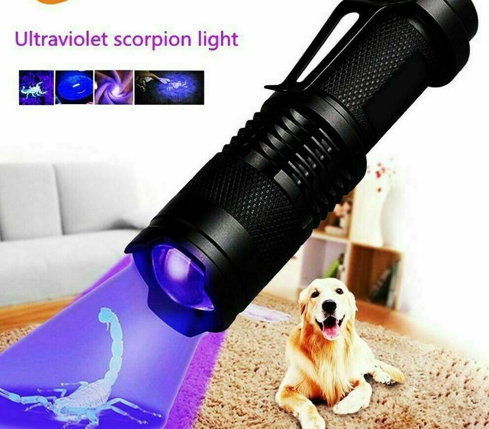 UV 395nm Blacklight Flashlight – Mini Handheld Detector for Pet Urine, Bed Bugs & Scorpions