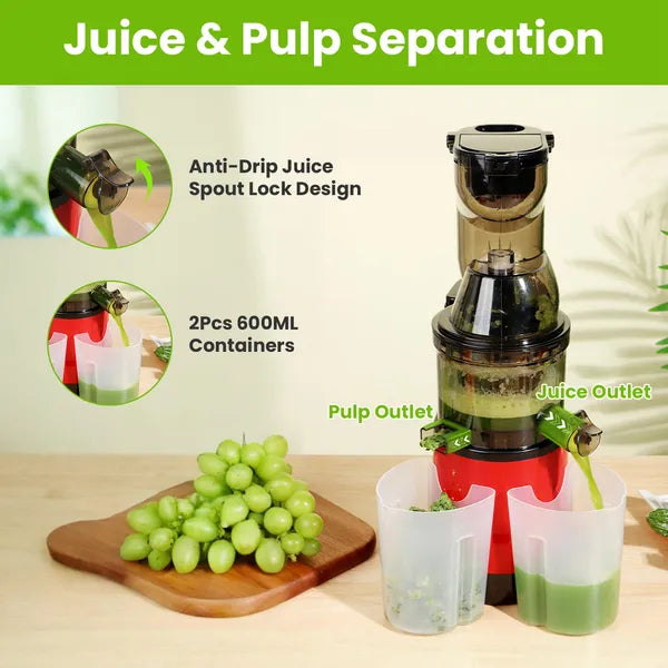 300W Cold Press Juicer Machine Electric Slow Masticating Juicer for Fruits and Vegetables with Reverse Function and Easy Clean Design