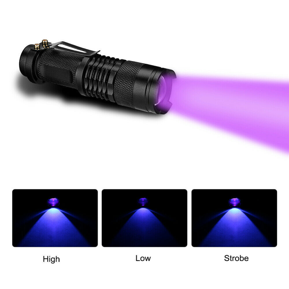 UV 395nm Blacklight Flashlight – Mini Handheld Detector for Pet Urine, Bed Bugs & Scorpions